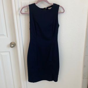 Navy blue and black work dress